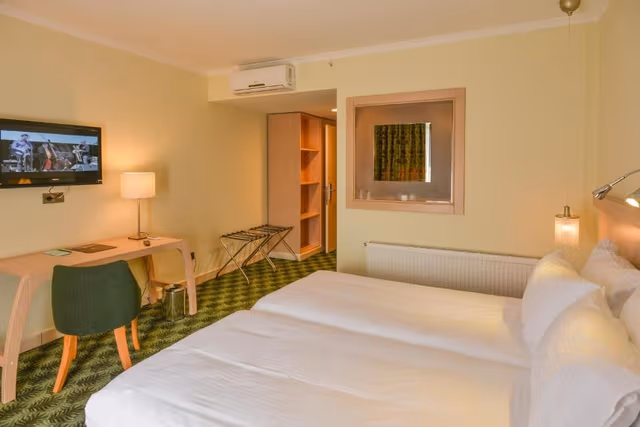 Double or Twin Room with Mountain View
