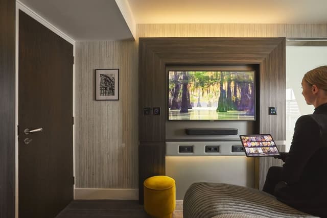 Standard Double Room, 1 King Bed