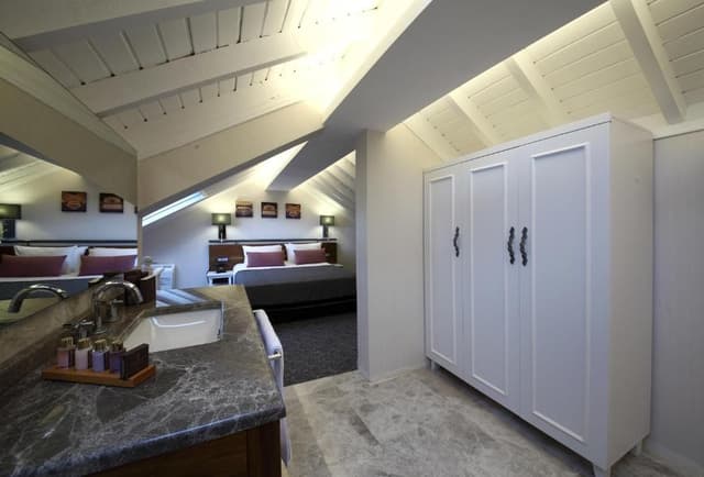 Deluxe Roof Suite