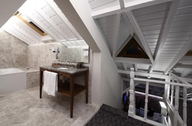 Deluxe Roof Suite