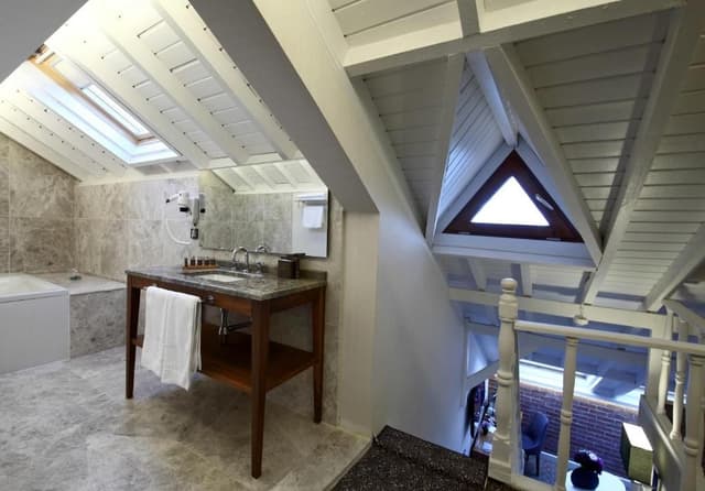 Deluxe Roof Suite