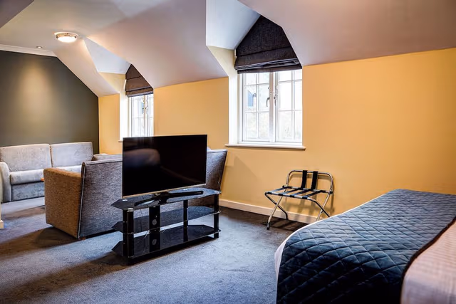 Standard Room, 1 King Bed with Sofa bed, Accessible