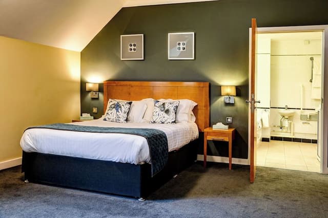 Standard Room, 1 King Bed with Sofa bed, Accessible