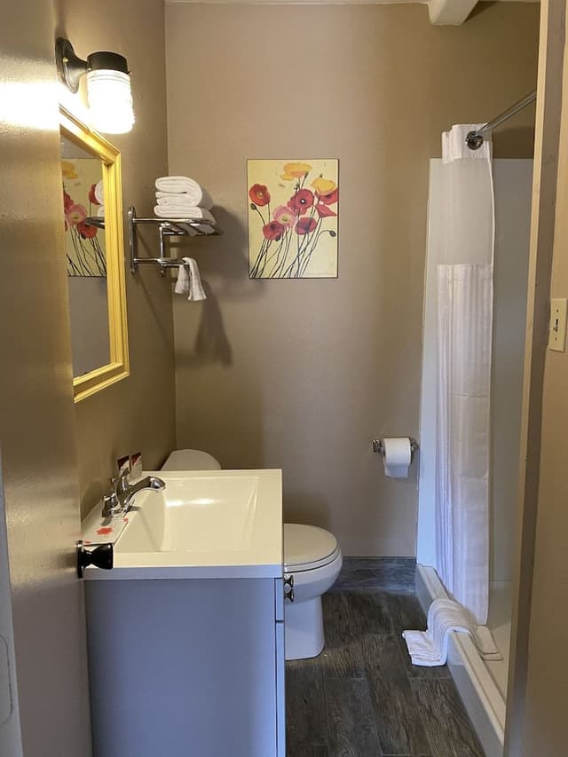 1 King Bed, Non-Smoking Room