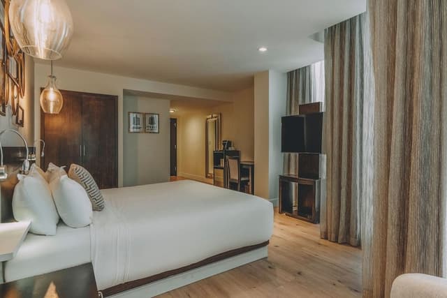 Premium Room (King)
