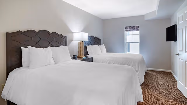 Suite, 2 Bedrooms, Accessible
