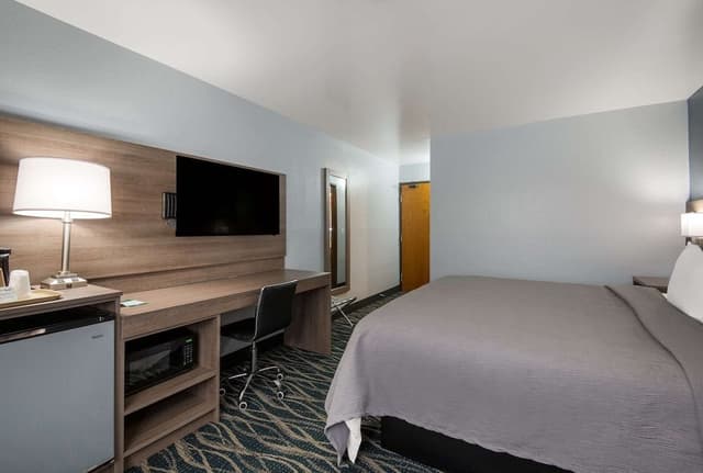 Standard Room, 1 King Bed, Non Smoking