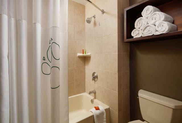 Grand Bear Suite - Water Park Included