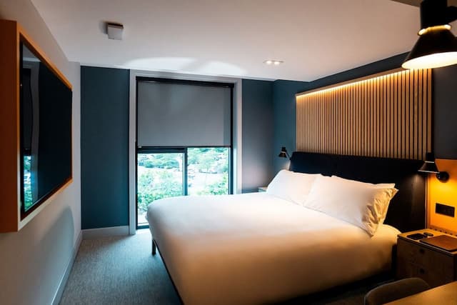 Double Room, 1 King Bed