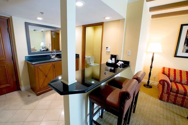Suite, 1 King Bed with Sofa bed