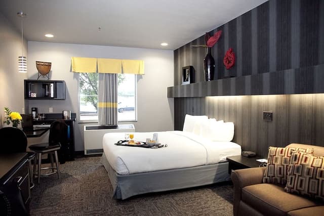 Room, 1 King Bed with Sofa bed