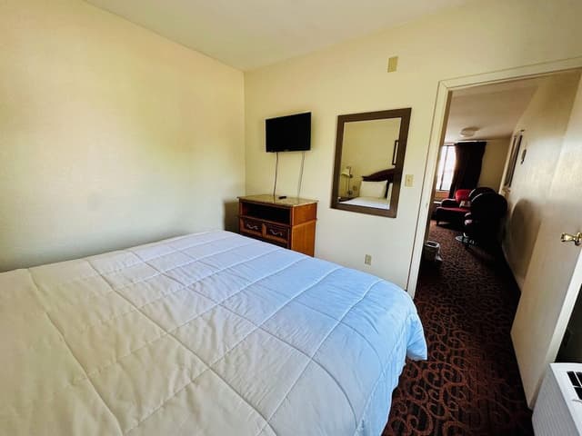 Premium Suite