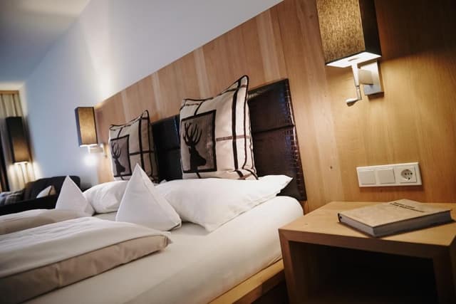 Luis Trenker Suite (JUNIOR Suite)