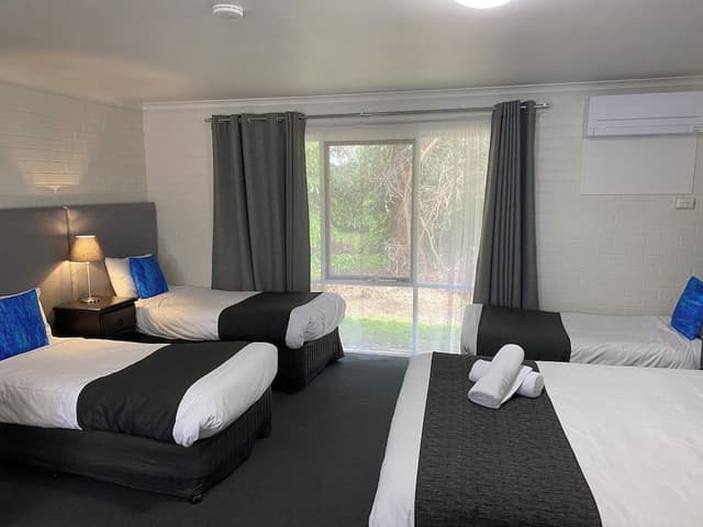 Large Family Suite (Double and 3 Singles)