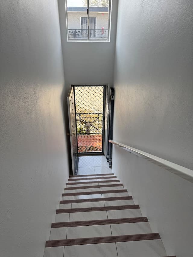 Basic Apartment