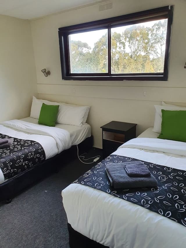 Family Room, Multiple Beds