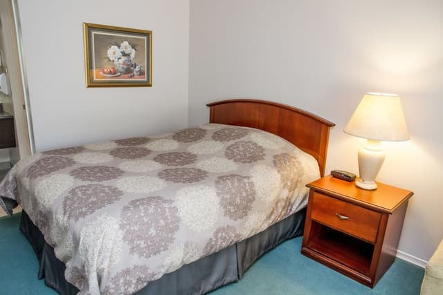 Suite, 1 Queen Bed