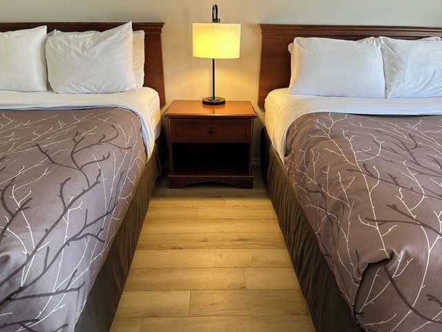 Standard Room, 2 Double Beds