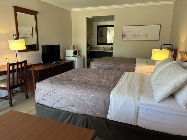 Standard Room, 2 Double Beds