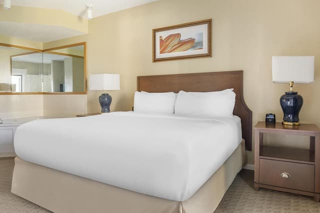 1 BEDROOM 1 KING DELUXE PLUS SUITE W/ SOFABED