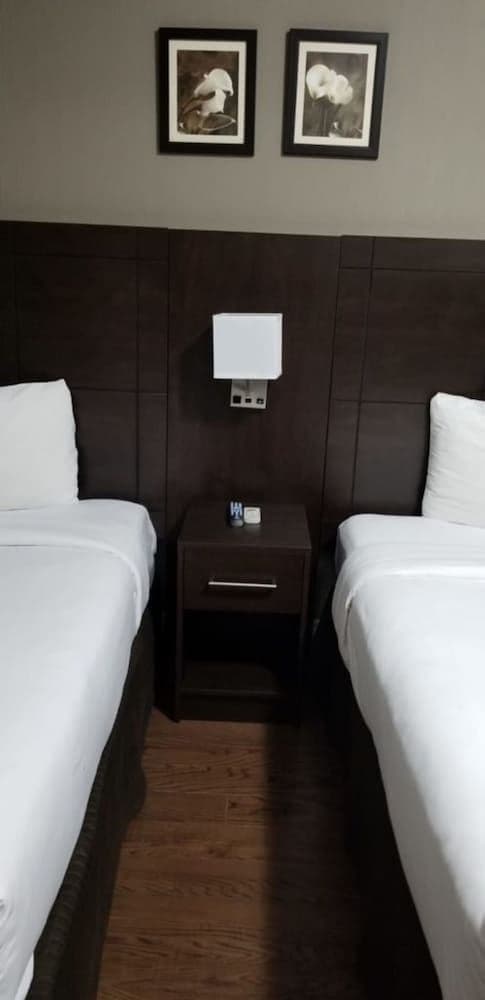 Standard Room, 2 Double Beds