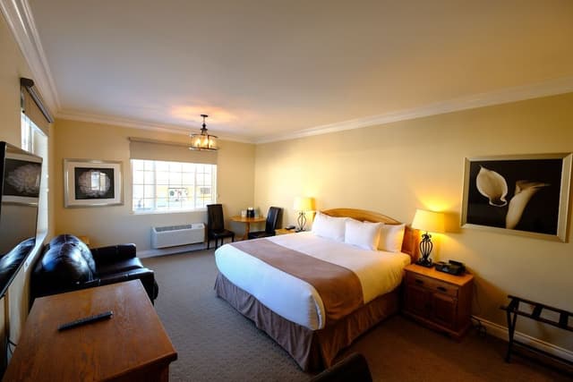 Deluxe Room, 1 King Bed