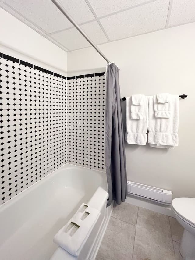 Premium Room, 1 King Bed (Muskoka River View, Has Balcony)
