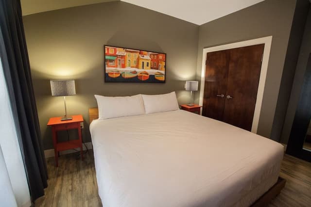 Standard Apartment, 1 King Bed with Sofa bed, Kitchen