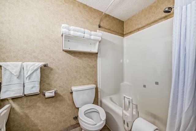 Standard Double Room, 2 Queen Beds, Accessible, Non Smoking