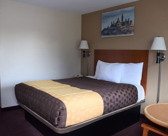 Room, 1 Queen Bed