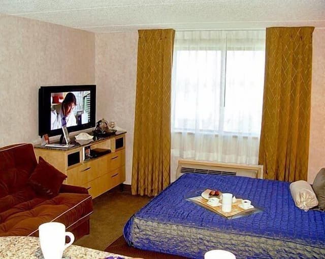 Studio, 1 Queen Bed (Metropolitan Suite)