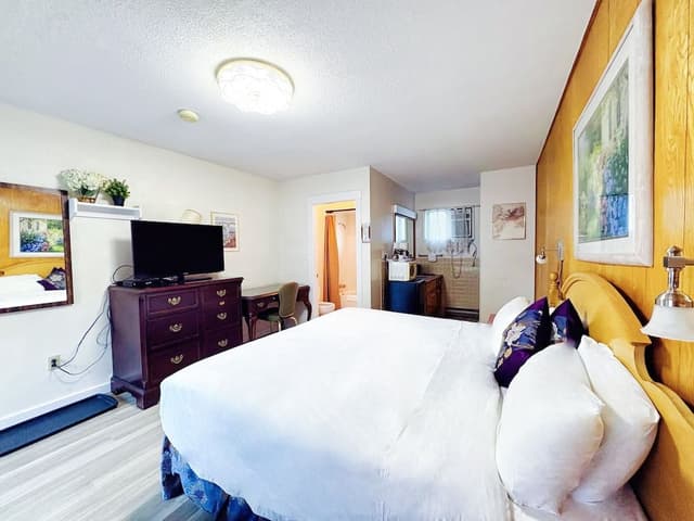 Standard Room, 1 King Bed - No Pets allow