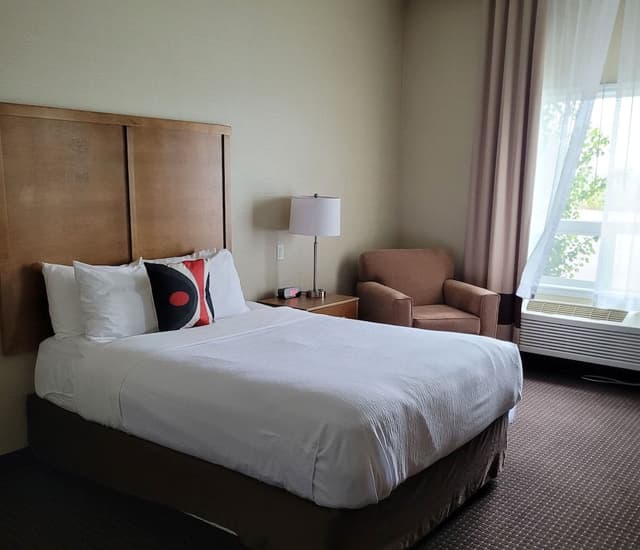 Standard Single Room