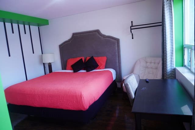 Economy Studio Suite