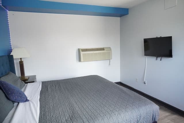 Economy Studio Suite