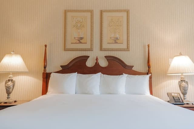 Deluxe Room, 1 King Bed