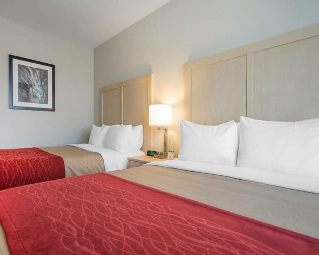 Standard Room, 2 Queen Beds, Non Smoking (No Pets)