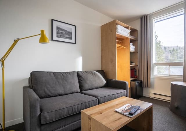 Room, 1 Queen Bed with Sofa bed