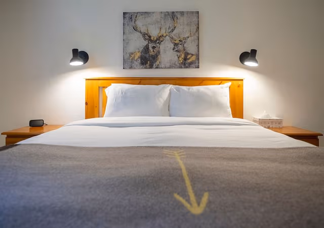 Room, 1 Queen Bed