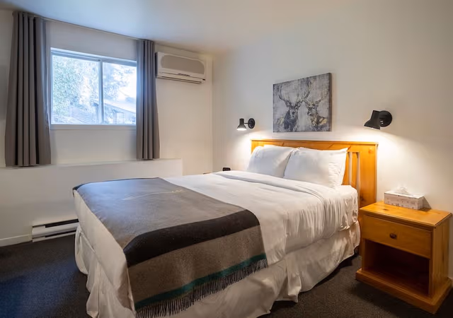 Room, 1 Queen Bed