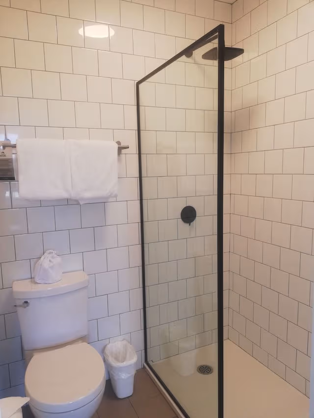 Room, 1 Queen Bed
