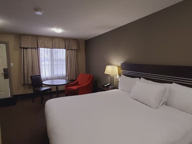 Single Room, 1 King Bed