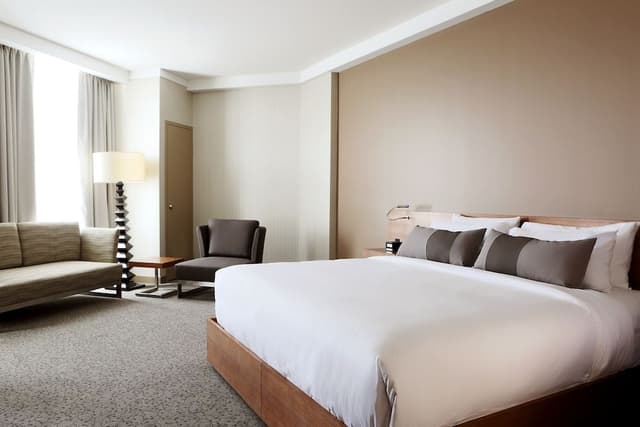 Suite, 1 King Bed