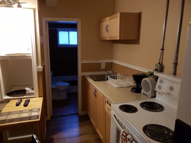 Deluxe Double or Twin Room, 1 Double Beds, Kitchenette