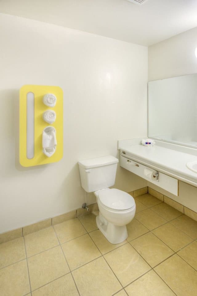 Standard Room, 1 King Bed, Accessible, Non Smoking