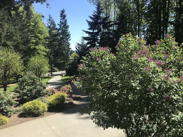 Comfort Room, 1 Queen Bed, Allergy Friendly, Park View