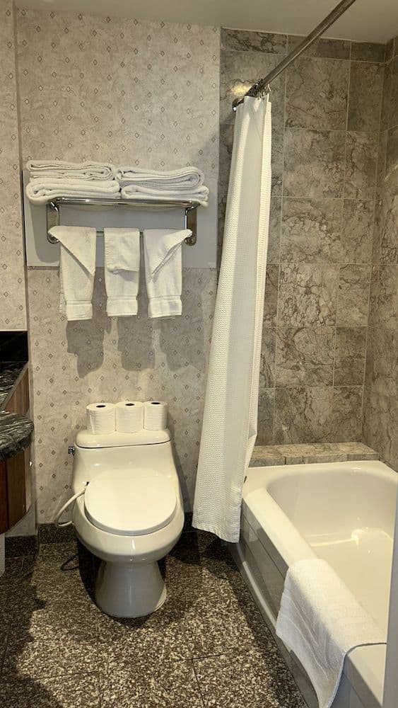 Deluxe Suite, 1 King Bed with Sofa bed