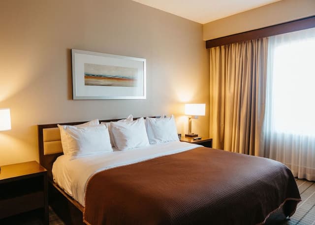 Suite, 1 Bedroom