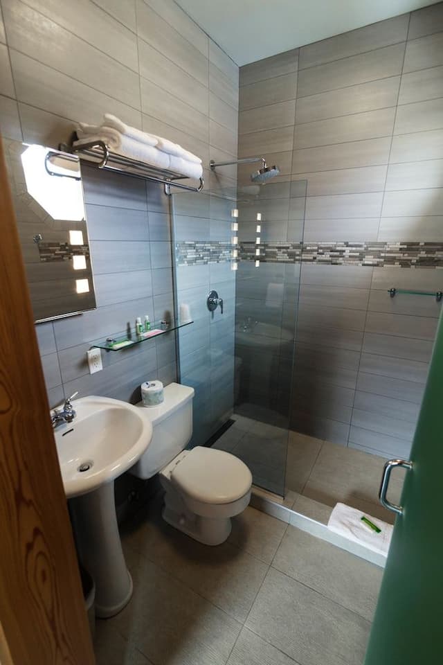 Deluxe Room, 1 King Bed, Mountain View