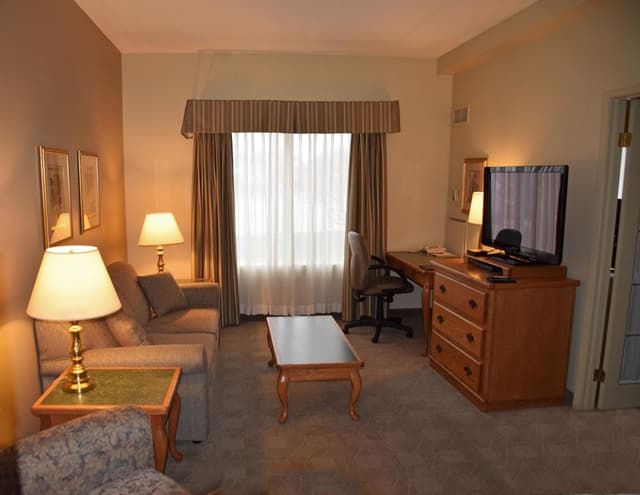 Executive Suite, 1 King Bed with Sofa bed